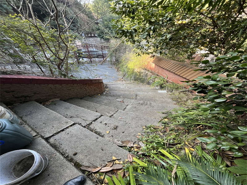1704166794144806.jpg